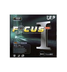 Friendshiep Focus 1