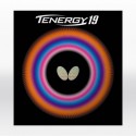 Butterfly Tenergy 19